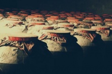 白酒行业新闻|经销商如何提升在产业价值链中的话语权?鼎信基酒l散酒