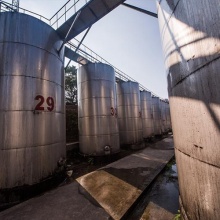 泸州白酒生产厂家|四川白酒厂|四川浓香基酒批发|四川纯粮食酒|鼎信基